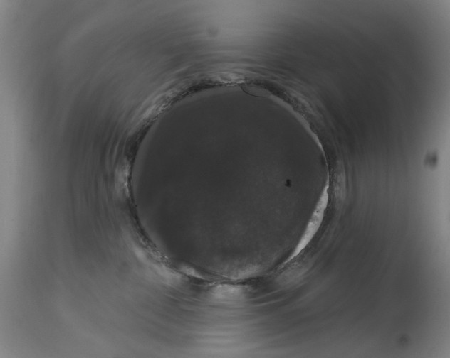 X0000114580332200911161315