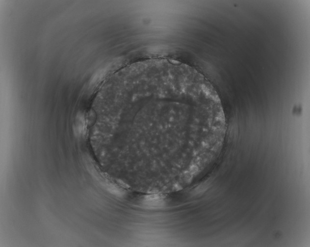 X0000114580335200911161315