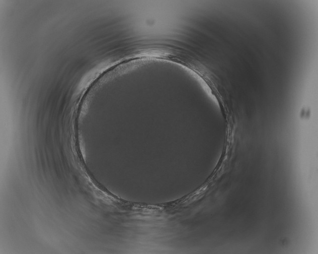 X0000114580337200911161314