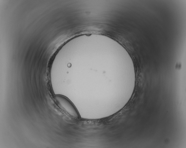 X0000114580338200911161314