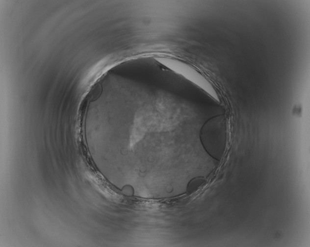 X0000114580339200911161314