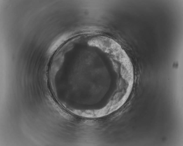 X0000114580341200911161314