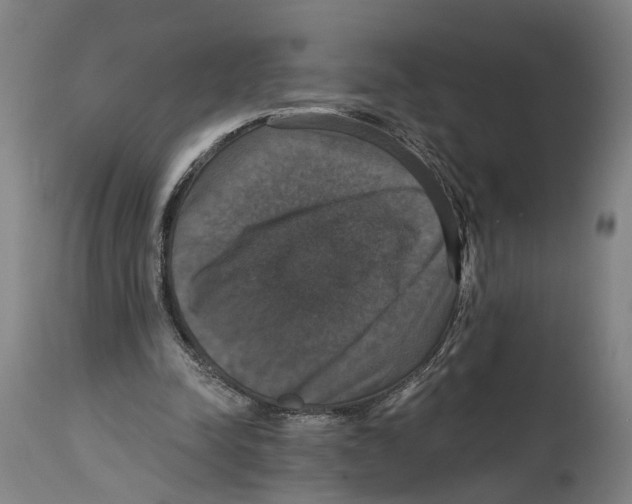 X0000114580342200911161314