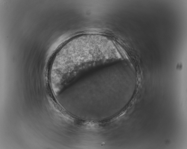 X0000114580343200911161314