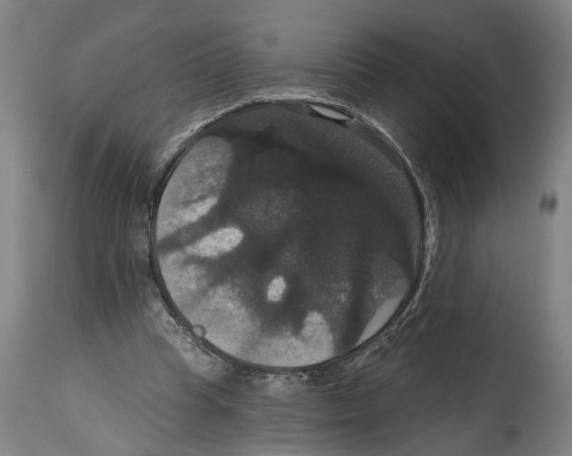 X0000114580345200911161314