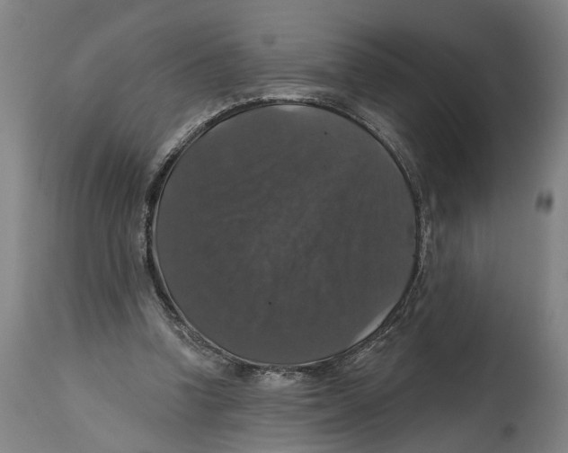 X0000114580346200911161314