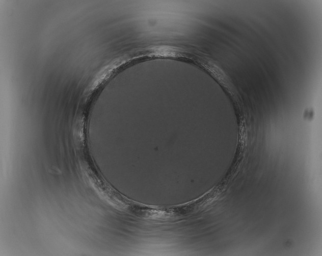 X0000114580347200911161314