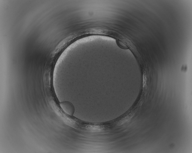 X0000114580349200911161314