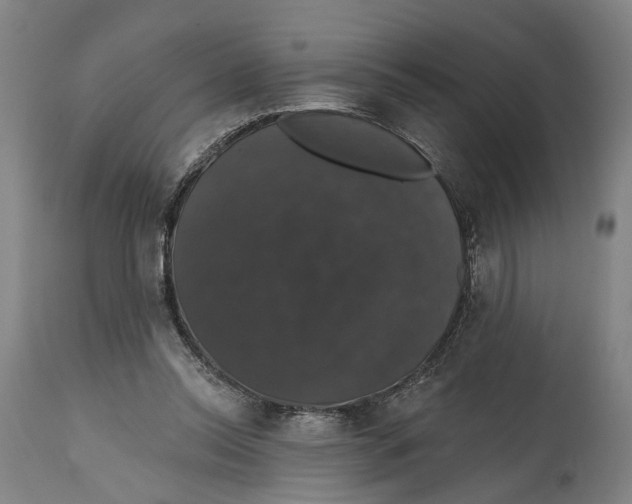 X0000114580350200911161314