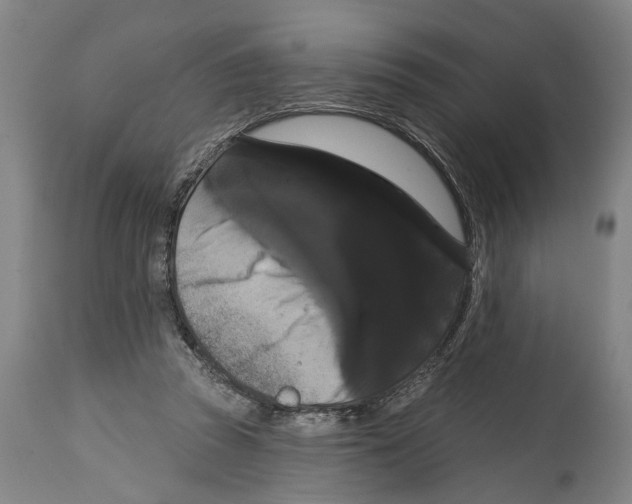 X0000114580353200911161314