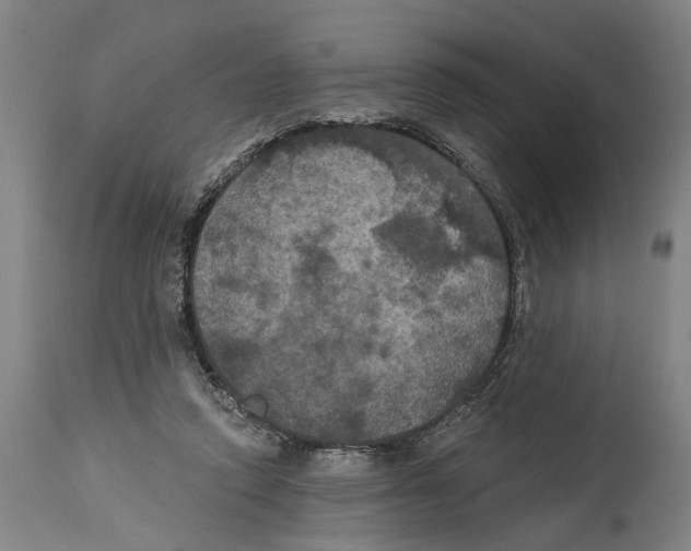 X0000114580354200911161314