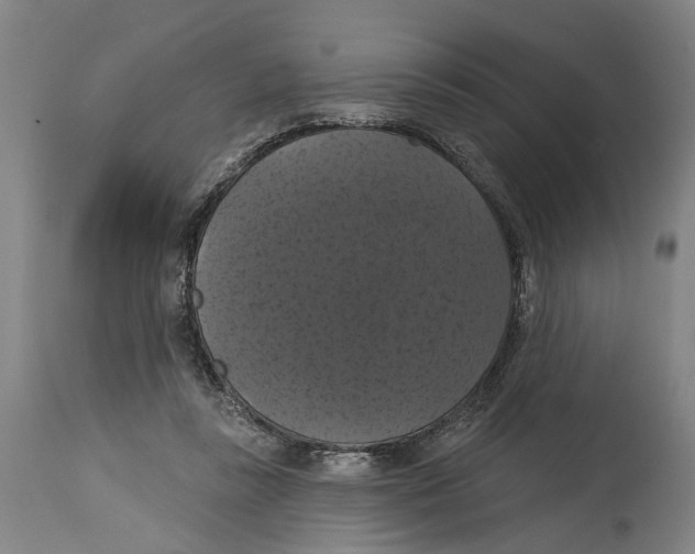 X0000114580355200911161314