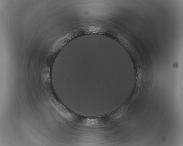 X0000114580361200911161314