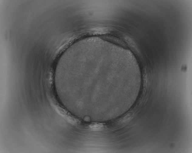 X0000114580362200911161314