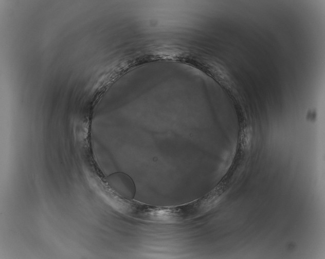 X0000114580365200911161314