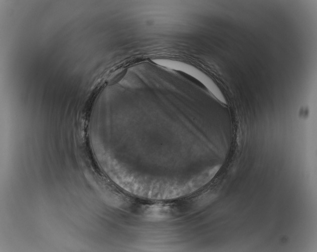 X0000114580366200911161314