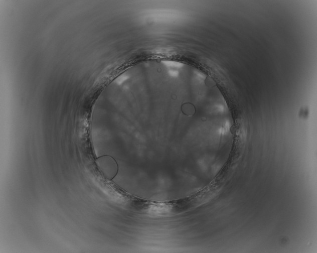 X0000114580369200911161314