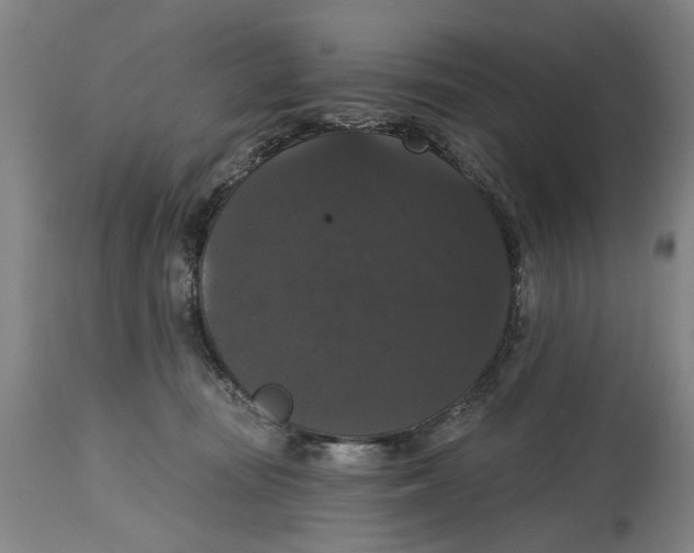 X0000114580371200911161314