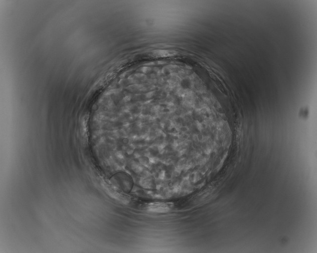 X0000114580373200911161314