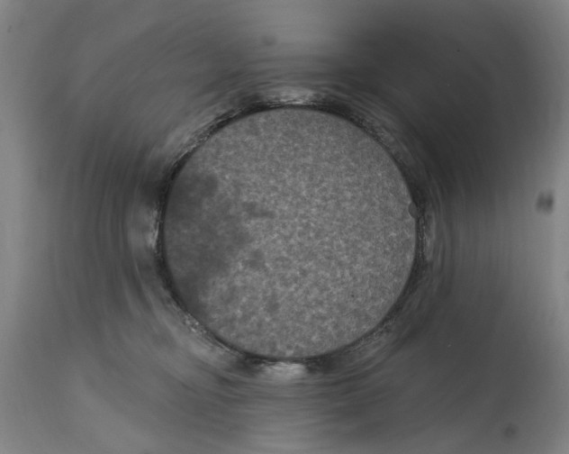 X0000114580374200911161314