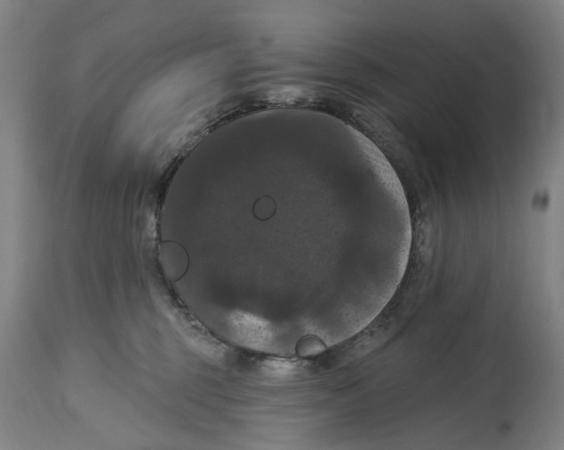 X0000114580375200911161314