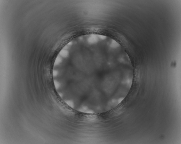 X0000114580377200911161315