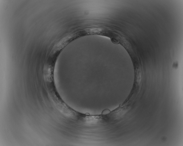 X0000114580378200911161315