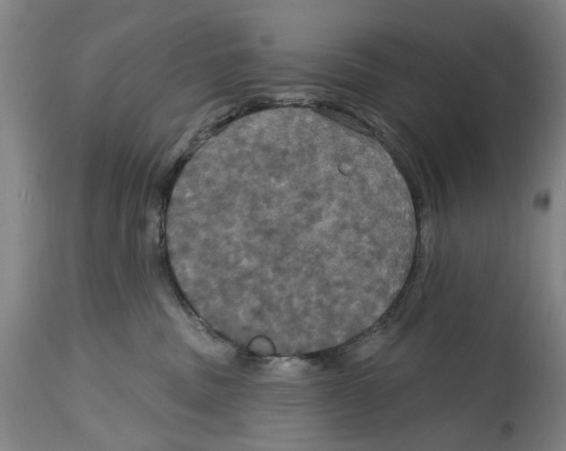 X0000114580379200911161315