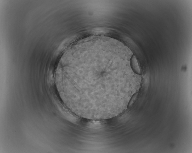 X0000114580381200911161315