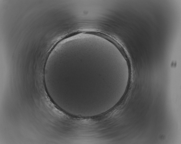 X0000114580385200911161314