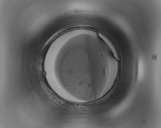 X0000114580387200911161314