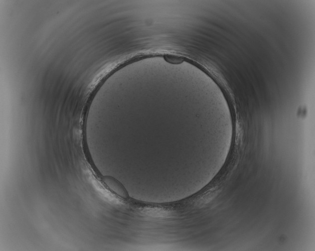 X0000114580389200911161314