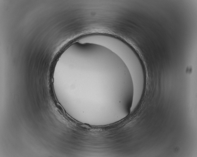 X0000114580391200911161314