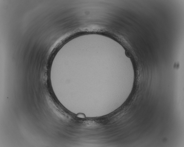 X0000114580392200911161314