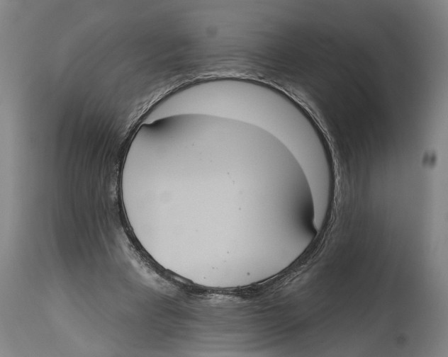 X0000114580393200911161314