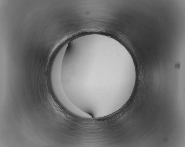 X0000114580395200911161314