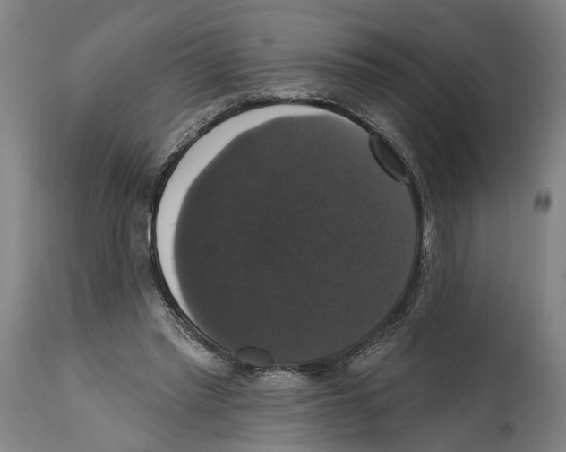 X0000114580397200911161314