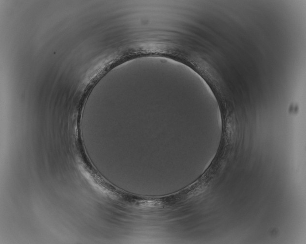 X0000114580398200911161314