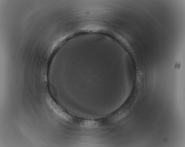 X0000114580399200911161314