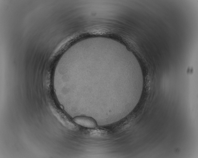 X0000114580400200911161314