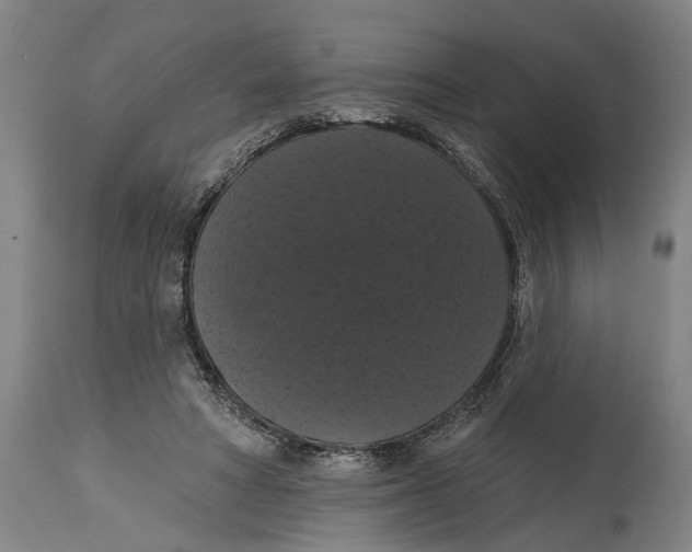 X0000114580402200911161314