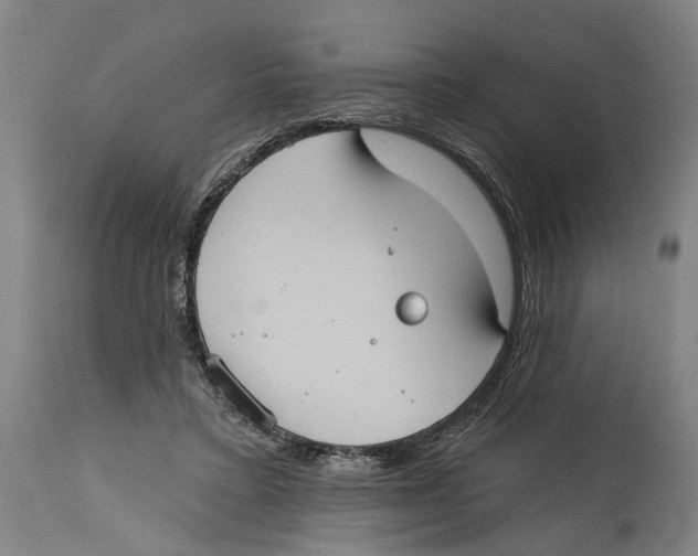 X0000114580403200911161314