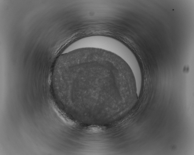 X0000114580405200911161314