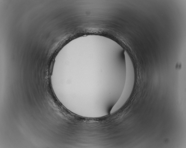 X0000114580407200911161314