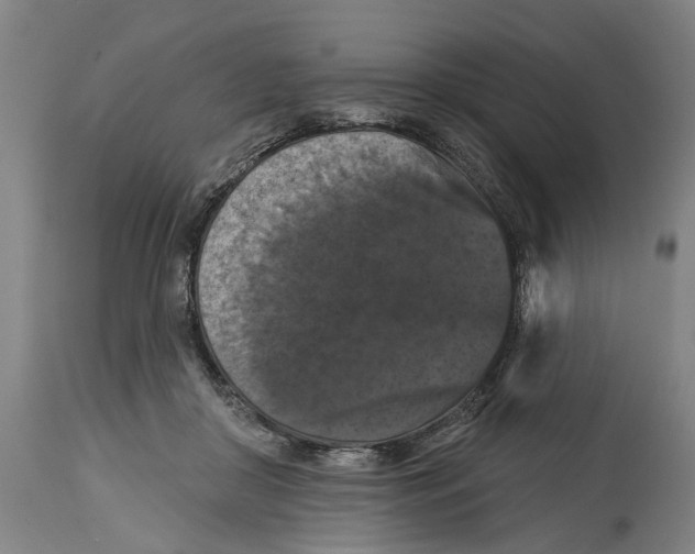 X0000114580410200911161314