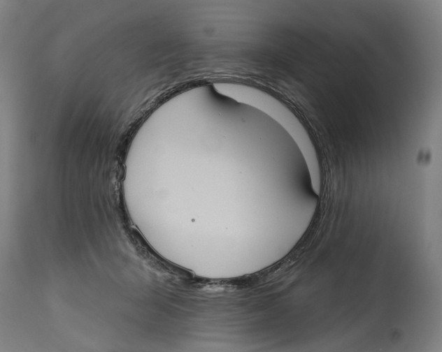 X0000114580415200911161314