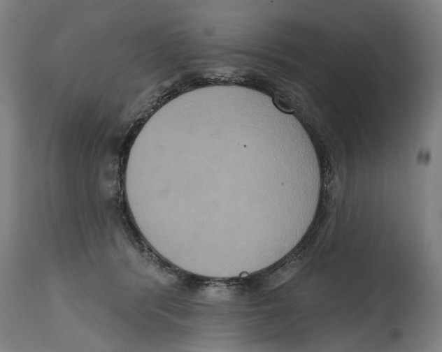 X0000114580416200911161314