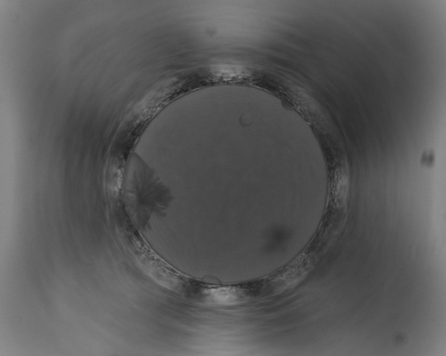 X0000114580417200911161314