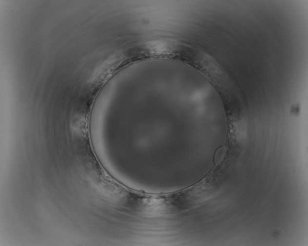 X0000114580419200911161313