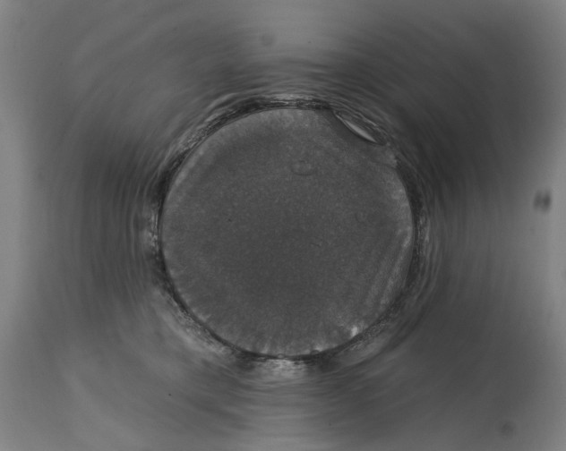 X0000114580421200911161313